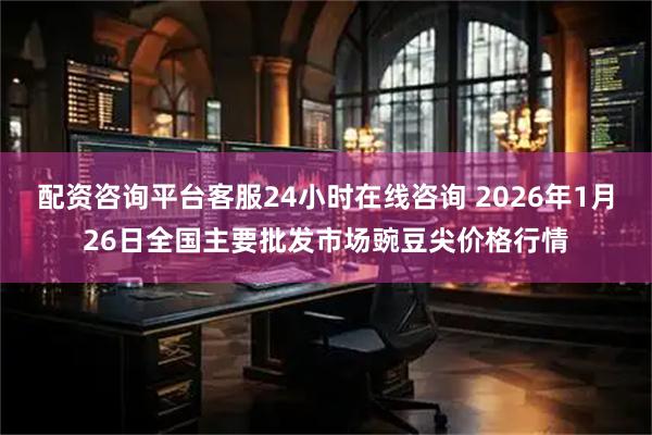 配资咨询平台客服24小时在线咨询 2026年1月26日全国主要批发市场豌豆尖价格行情
