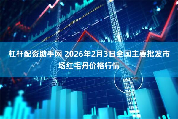杠杆配资助手网 2026年2月3日全国主要批发市场红毛丹价格行情