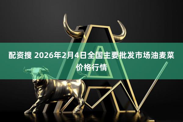 配资搜 2026年2月4日全国主要批发市场油麦菜价格行情
