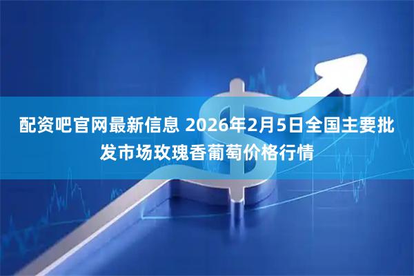 配资吧官网最新信息 2026年2月5日全国主要批发市场玫瑰香葡萄价格行情