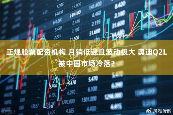 正规股票配资机构 月销低迷且波动极大 奥迪Q2L被中国市场冷落？